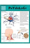 Physiology (Speedy Study Guides)