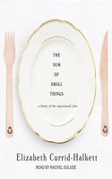 The Sum of Small Things Lib/E: A Theory of the Aspirational Class