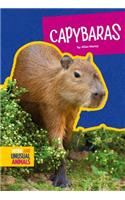 Capybaras: (Weird and Unusual Animals)
