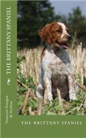 The brittany spaniel