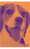 Notebook: Beagle Foxhound Hunting Family Pet Dog Notepad (Orange)