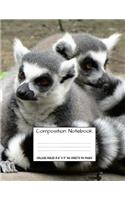 Composition Notebook: College Ruled Ring Tailed Lemur Cute Composition Notebook, Girl Boy School Notebook, College Notebooks, Composition Book, 8.5" x 11"(22 Cute Animal Notebooks for Home School Boys and Girls)