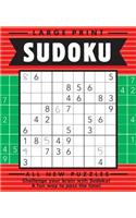 Large Print-Sudoku Volume 12