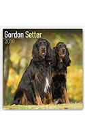 Gordon Setter Calendar 2018