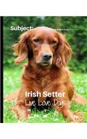 Irish Setter- Live Love Dogs!: Composition Notebook for Dog Lovers