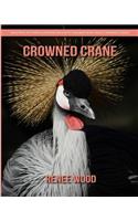 Crowned Crane