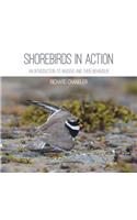 Shorebirds in Action