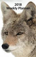 2018 Weekly Planner: Coyotes of Wolf Park (Willow)