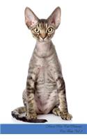Devon Rex Cat Presents: Cat Facts Workbook. Devon Rex Cat Presents Cat Facts Workbook with Self Therapy, Journalling, Productivity Tracker with Self Therapy, Journalling, P