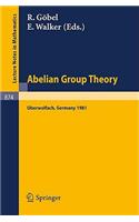 Abelian Group Theory