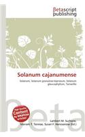 Solanum Cajanumense: (English)