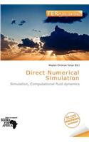 Direct Numerical Simulation