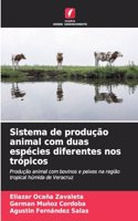 Sistema de produção animal com duas espécies diferentes nos trópicos