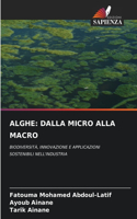 Alghe