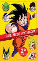 Â¡LUZ, FUEGO, DESTRUCCION! LA GRAN AVENTURA DE DRAGON BALL (I)