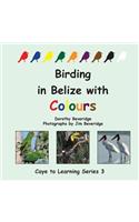 Birding in Belize with Colours