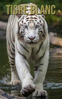 Tigre Blanc