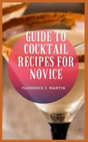 Guide to Cocktail Recipes For Novice