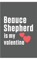 Beauce Shepherd is my valentine