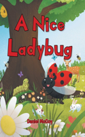 Nice Ladybug