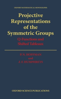 Projective Representations of the Symmetric Groups