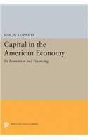 Capital in the American Economy