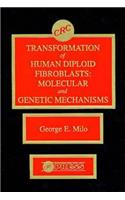 Transformation of Human Diploid Fibroblasts