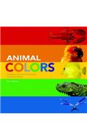 Animal Colors