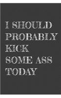I Should Probably Kick Some Ass Today: Weight Training And Weightloss Journal
