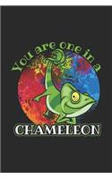 You Are One in a Chameleon