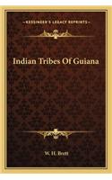 Indian Tribes Of Guiana