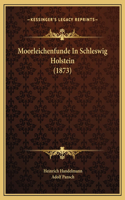 Moorleichenfunde In Schleswig Holstein (1873)