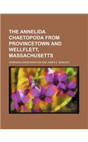 The Annelida Chaetopoda from Provincetown and Wellflett, Massachusetts