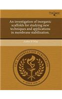 An Investigation of Inorganic Scaffolds for Studying New Techniques and Applications in Membrane Stabilization