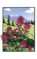 Indian Paintbrush (Boxed)