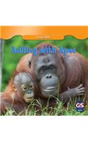 Adding with Apes
