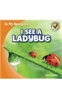 I See a Ladybug