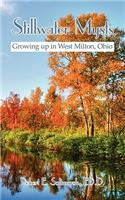 Stillwater Mysts
