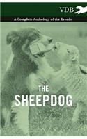 The Sheepdog - A Complete Anthology of the Breeds: (English)