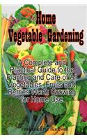 Home Vegetable Gardening