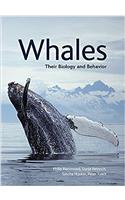 Whales
