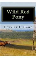 Wild Red Pony