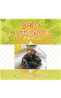 Baby Hummingbirds