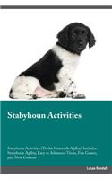 Stabyhoun Activities Stabyhoun Activities (Tricks, Games & Agility) Includes