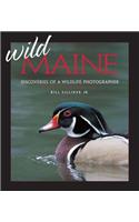 Wild Maine