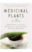 Medicinal Plants at Home
