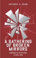 Gathering of Broken Mirrors