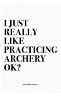 I Just Really Like Practicing Archery Ok?: A 6x9 Inch Diary Notebook Journal With A Bold Text Font Slogan On A Matte Cover and 120 Blank Lined Pages Makes A Great Alternative To A Card