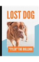 lost dog: reinforced holes, notebook college ruled notebook college ruled 8.5 x 11, Wave Smart Notebook Science Fiction & Fantasy Self-Help Sports & Outdoors 