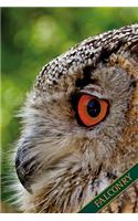 Falconry